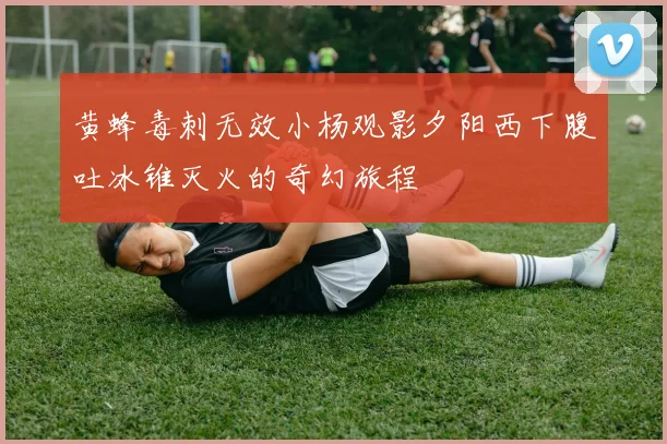 黄蜂毒刺无效小杨观影夕阳西下腹吐冰锥灭火的奇幻旅程