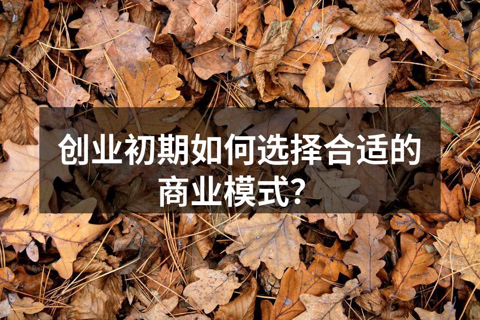 创业初期如何选择合适的商业模式？