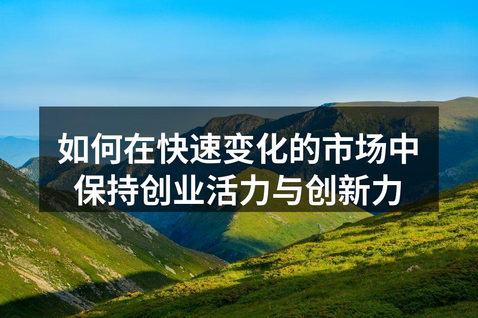如何在快速变化的市场中保持创业活力与创新力