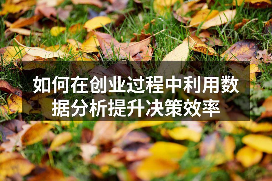如何在创业过程中利用数据分析提升决策效率