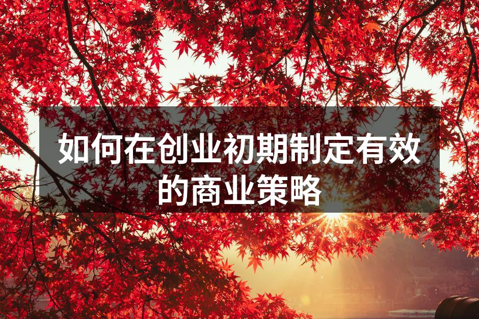 如何在创业初期制定有效的商业策略